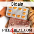 Cidala new13